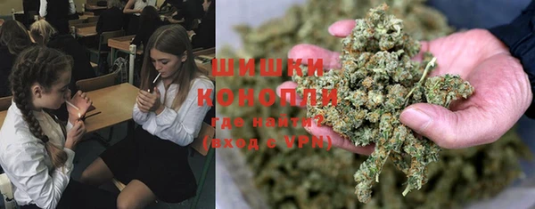 мескалин Арсеньев